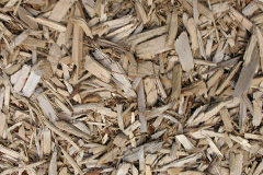 biomass boilers Trevine